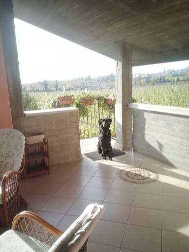 Apartamento Uno Sguardo Sulla Valpolicella Pedemonte Exterior foto